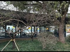 -柳莺湖上·湖景餐厅·江南菜(西湖店)