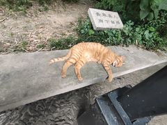 -西园寺