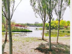 -东郊湿地公园