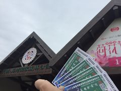 门面-上海海湾国家森林公园