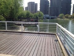 iphone_upload_pic-新江湾城公园