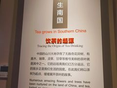 -中国茶叶博物馆(双峰馆区)