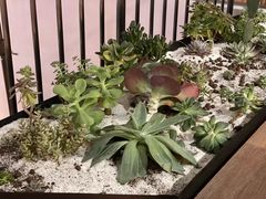 -渡娘火锅(大兴大悦春风里店)