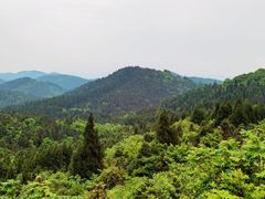 -武陵山森林公园