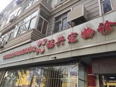 -瑞派福兴宠物医院犬猫全科·骨科·中西医结合(河东店)