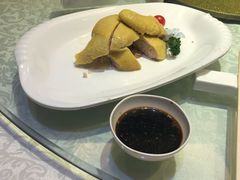 白切绍兴墩鸡-绍兴饭店(大宁店)