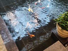 -天津海河悦榕庄·Lobby Lounge大堂吧