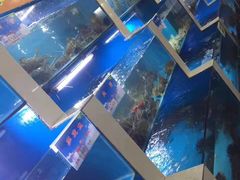 水产区-渔满舱海鲜餐厅(北门外正街店)