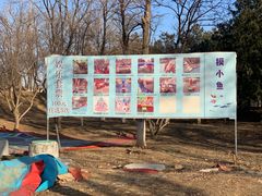 -青龙湖公园