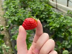 -冰川延边料理·炭烤串(原小木屋店)