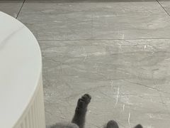 -宠颐生汉谟拉比宠物医院