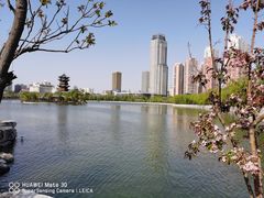 -迎泽公园