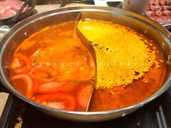 -呷哺呷哺(望京新世界店)