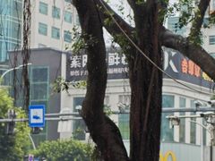 -紫阳海鲜楼·传承闽味(长乐路总店)
