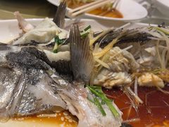 -中苑海韵