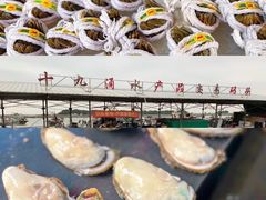 -大湾区中央湿地公园-十九涌