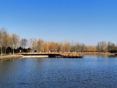 -东郊湿地公园