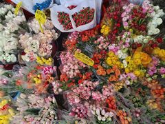 -循礼门鲜花花市(武汉循礼门店)