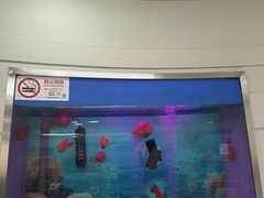 -雅悦齿科(顾村公园店)