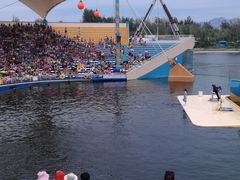 -秦皇岛乐岛海洋王国