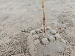-白城沙滩