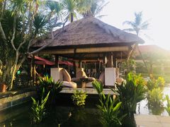 -Rock Bar Bali(Bali)