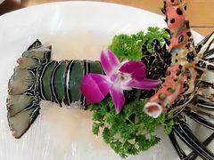 -芽庄MP泰式海鲜海景餐厅