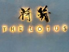 -几荷·恰似故人来(秀水广场店)