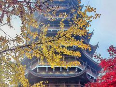-苏州文庙(姑苏区)