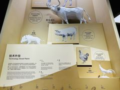 -上海科技馆-探索之光