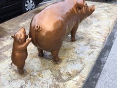 -Dombe豚(黑猪肉街店)