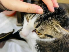 -五娃子烧烤(人民路150号院店)