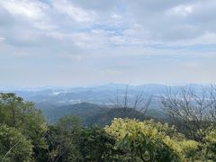 -广州市帽峰山景区