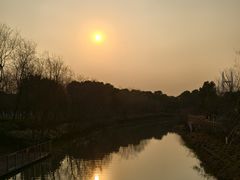 -柳鹭田园区