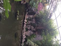 泰安东尊华美达广场酒店-泰安东尊华美达广场酒店(泰山景区店)