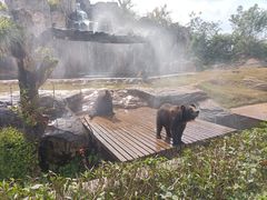 -海南热带野生动植物园