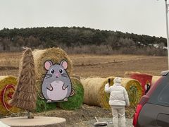 -爱新觉罗皇家博物院
