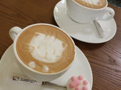 -猫色咖啡·猫咖