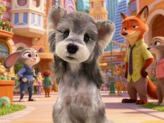 -BABIT巴比特宠物(MOMOPARK店)