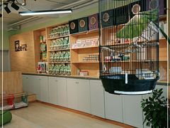 -猫十亿·布偶金渐层·曼基康矮脚猫舍(青年路店)