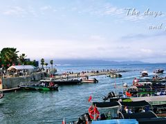 -杨梅坑