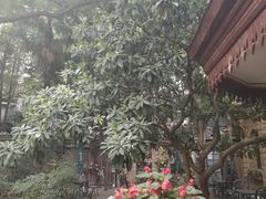 -马勒别墅·中餐厅