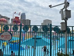 -海合安成都极地海洋公园