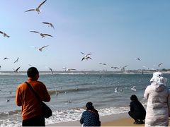 -老虎石海上公园