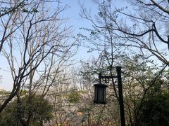 -苏州上方山国家森林公园