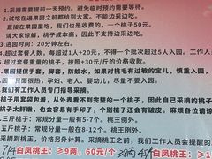 -老袁家蜜桃农场·阳山水蜜桃