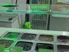 -Salud撒露欧洲冻酸奶(五道口购物中心店)