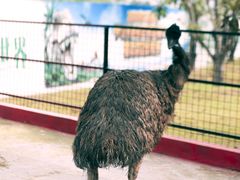 -恒大世纪梦幻城