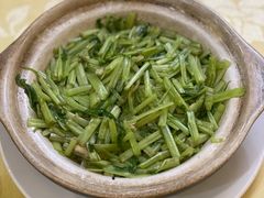 虾酱啫啫通菜梗煲-老东风菜馆·潮汕大排档