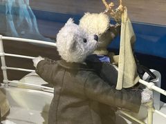 -济州岛泰迪熊博物馆